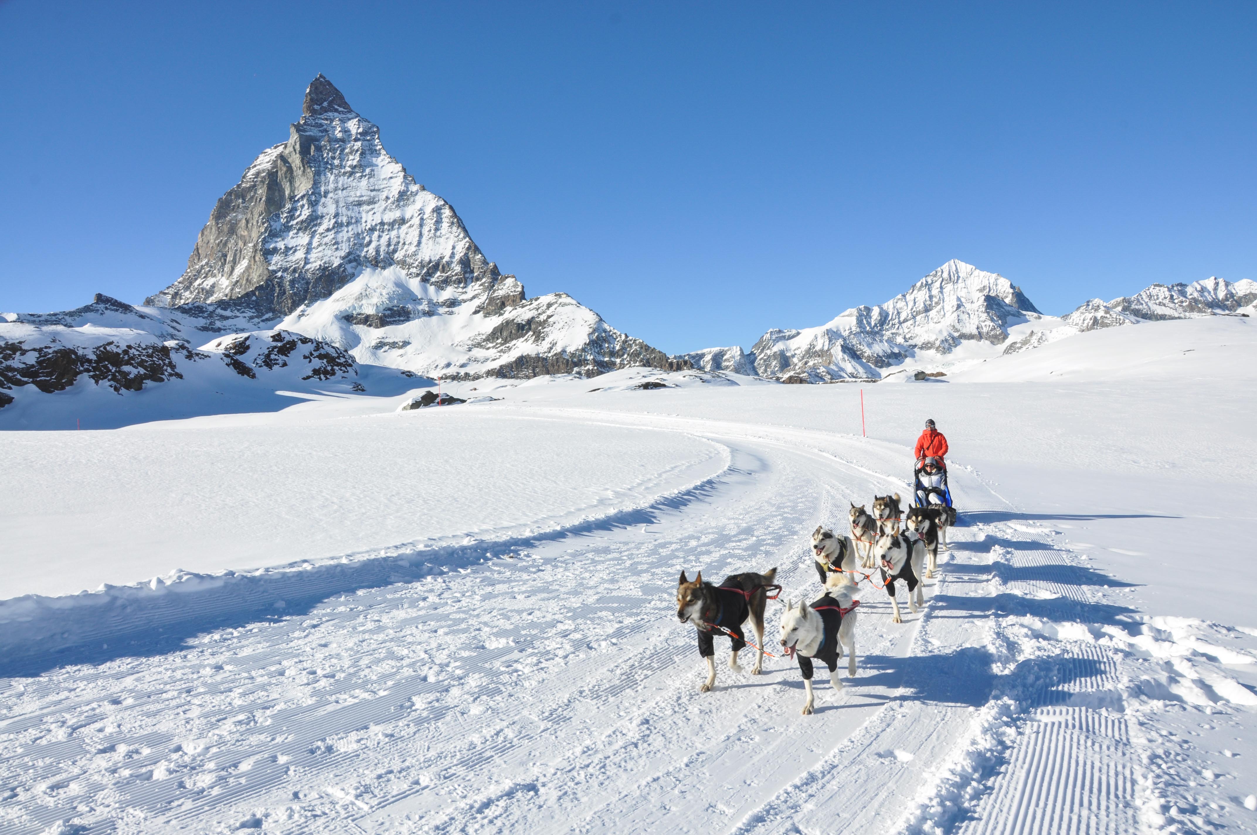 migrolino Awarding Trip- sled dog ride