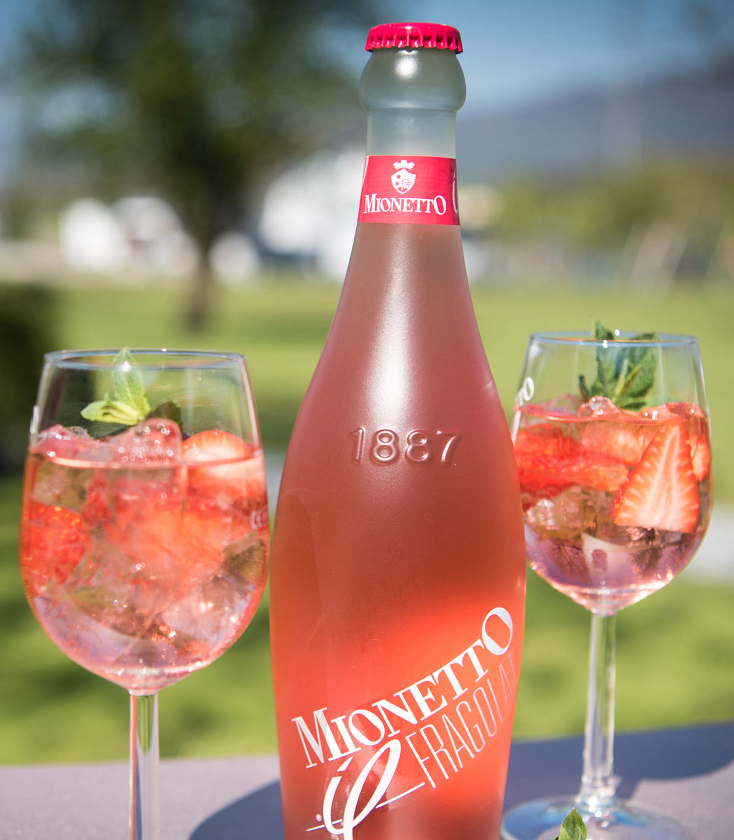 Henkell & Co. Schweiz