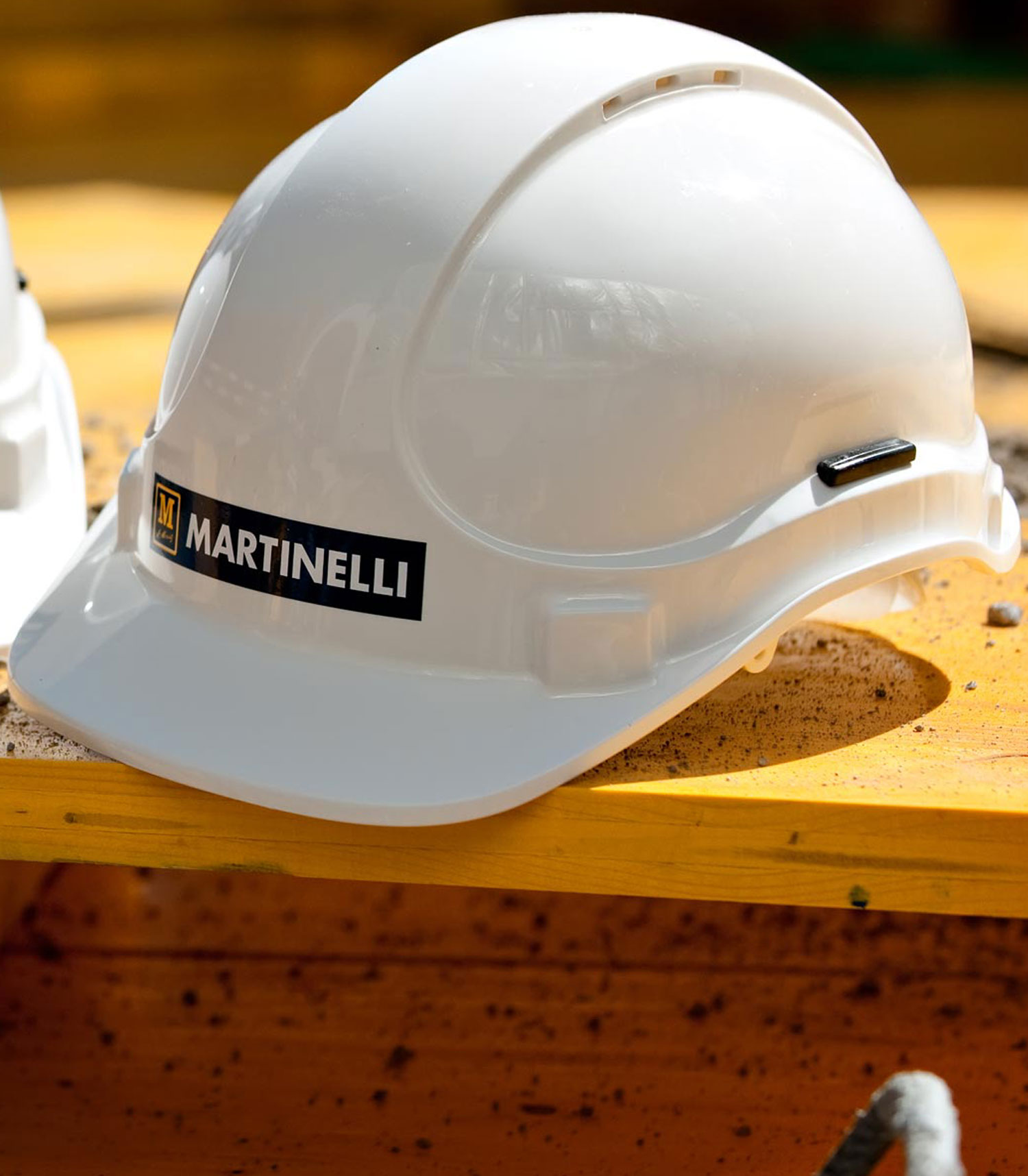 100 Jahre D. Martinelli AG